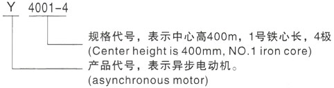 西安泰富西玛Y系列(H355-1000)高压YE2-160L-8三相异步电机型号说明